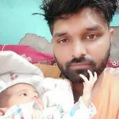 Kinggulab