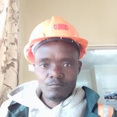 T manzini