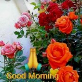 Aajy