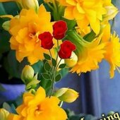 Bittu_M