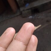 Onnryu