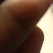 Lash