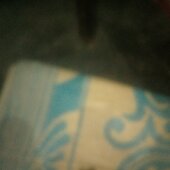 Rajib ds