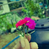 F@ruk@sm@