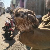 Ansh jain