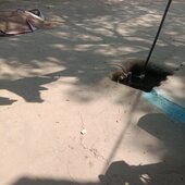 rams063479@gmail.com
