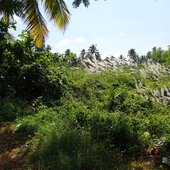 mahesh1112