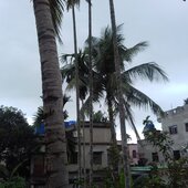 Gourav Dey