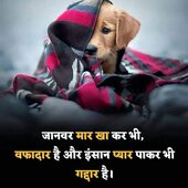 Sohan728