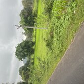 kasakasa