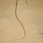 Bairagi
