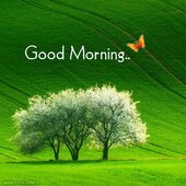Singh.dinesh