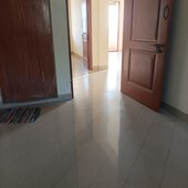 ILANBOHAR1