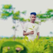 sunaali