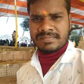 Pappu kumar tiger