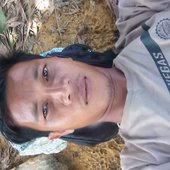 waldi