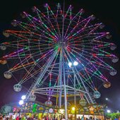 Sisir