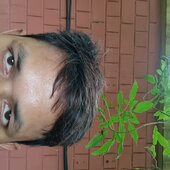 Bapan babu