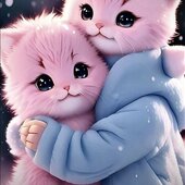 idrisalam721@gmail.c