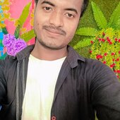 Anis Siddiqui