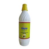 Sandip bbbb