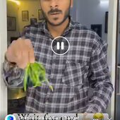 Bistu das