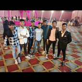 Surykat