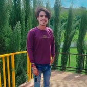 Ankit Piplodiya