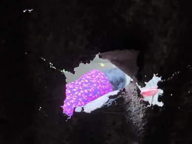 Step Uncles and Aunts in the Bathtub: Hot Desi Pussy Action!